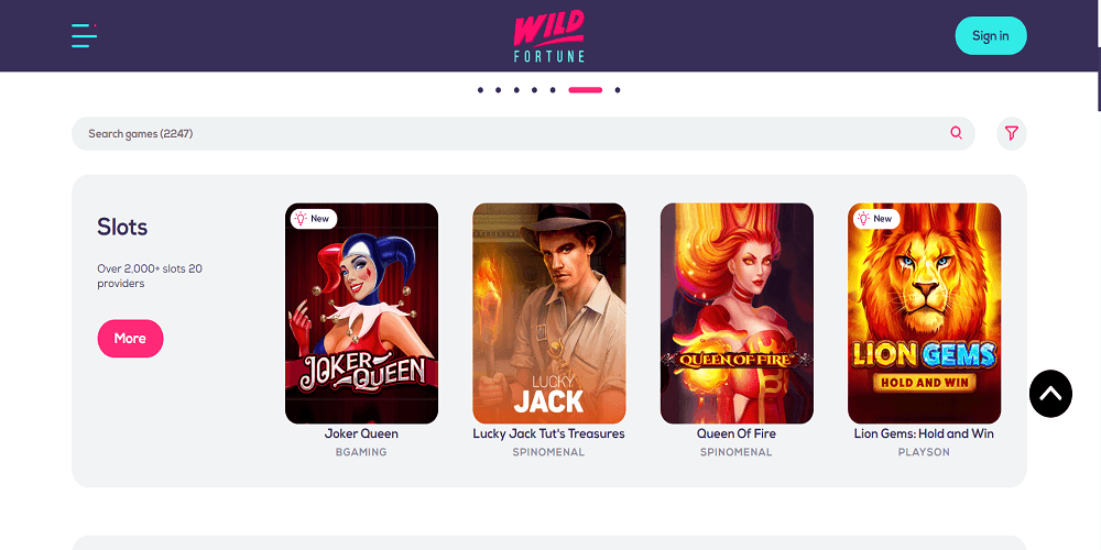 Wild Fortune Casino Spieleautomaten